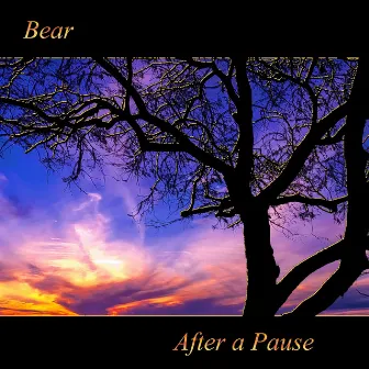 After a Pause by Bear