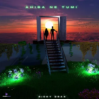 Ahiba Ne Tumi by Ricky Drax