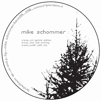 Lärchenbaum EP by Mike Schommer