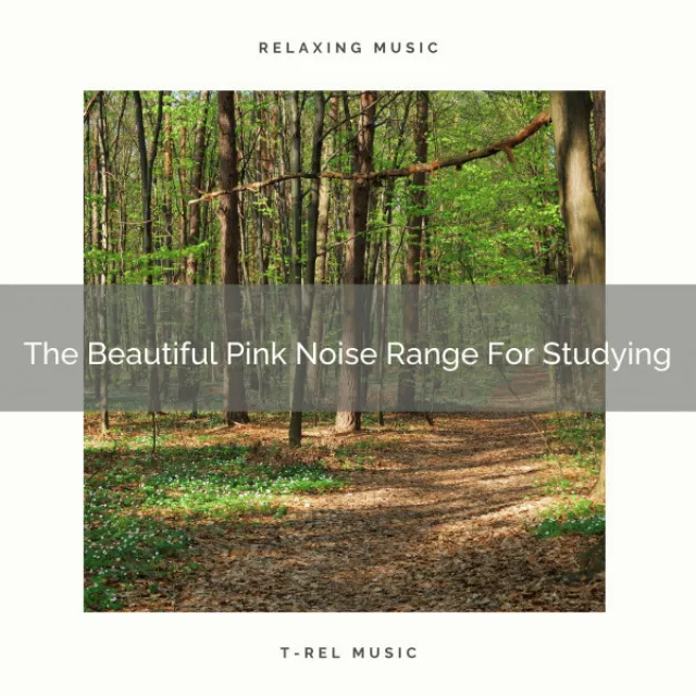 The Beautiful Pink Noise Range Now