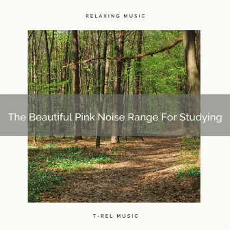 The Beautiful Pink Noise Range For Studying by Granular