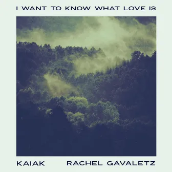 I Want To Know What Love Is (Acoustic) by Rachel Gavaletz