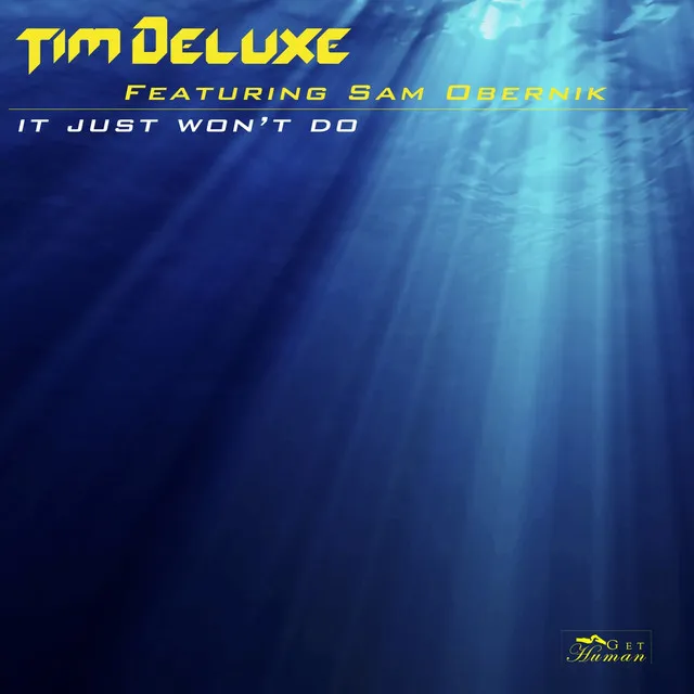 It Just Won't Do - Radio Edit