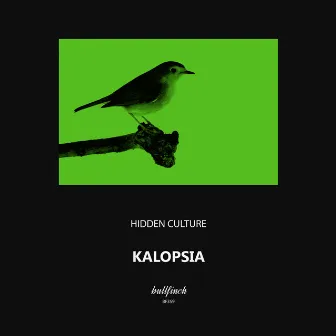 Kalopsia by Hidden Culture