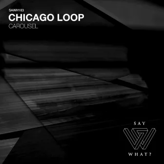 Carousel by Chicago Loop