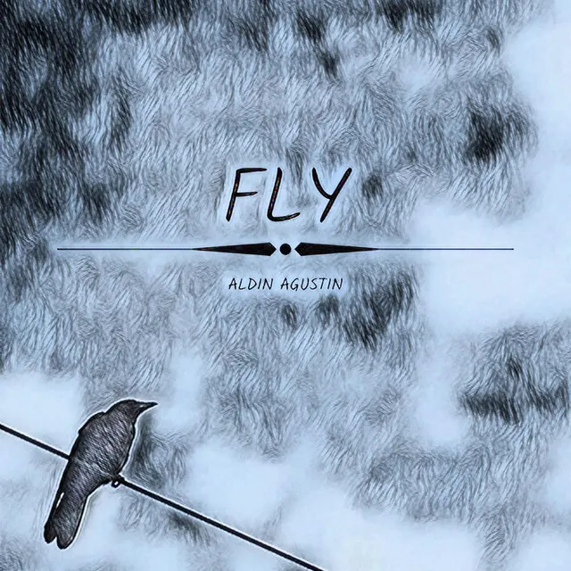 Fly