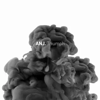 Triumph by ANJ