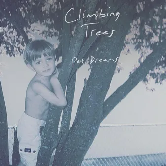 Climbing Trees by Pet Dreams