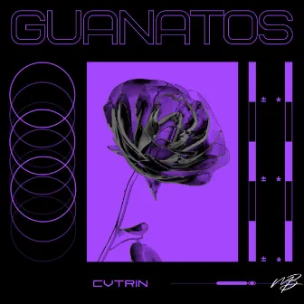 Guanatos by CVTRIN