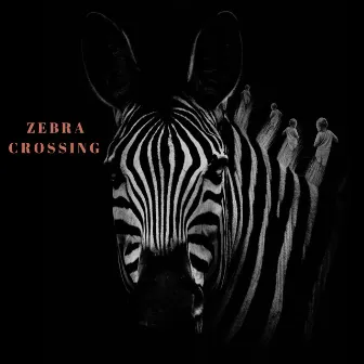 Zebra Crossing by Ward De Vleeschhouwer