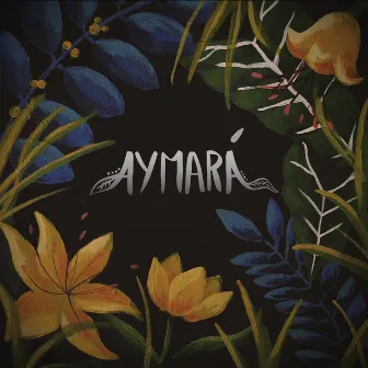 Aymará by Aymará