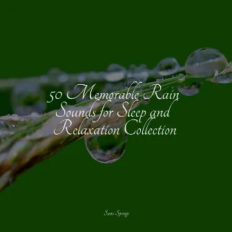 50 Memorable Rain Sounds for Sleep and Relaxation Collection by Active Baby Music Workshop