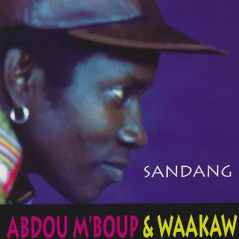 Sandang by Abdou Mboup