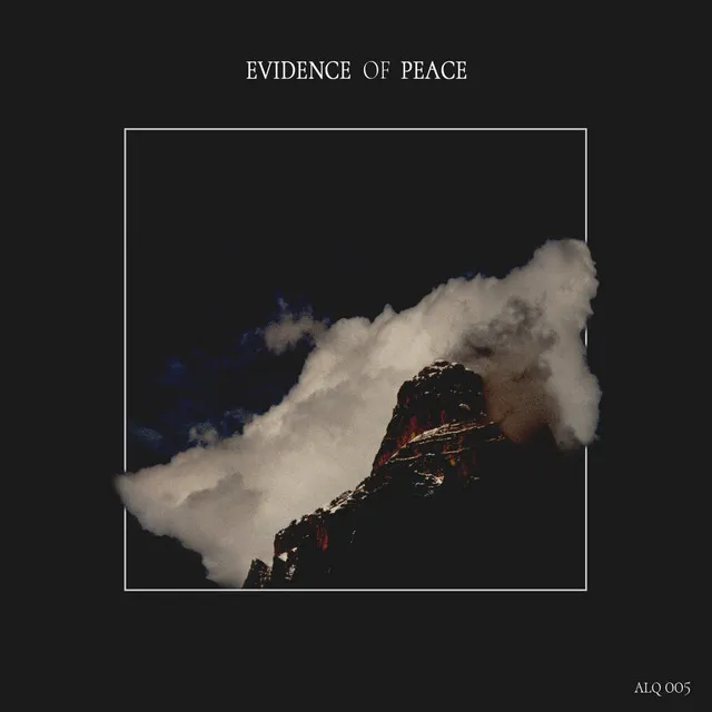 Evidence of Peace - Vinzenz Schwarz Remix