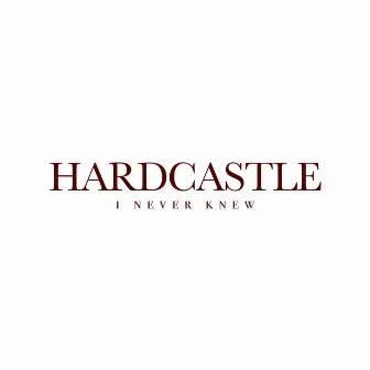 I Never Knew by Hardcastle