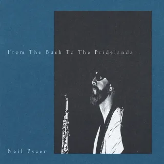 From the Bush to the Pridelands by Neil Pyzer