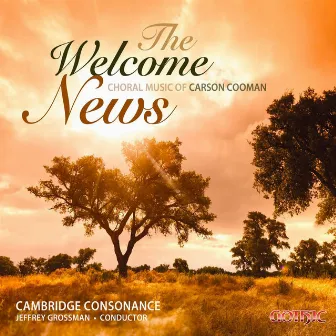 The Welcome News by Jeffrey Grossman