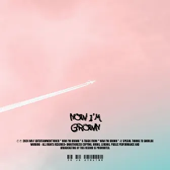 NOW I’M GROWN by AIRL1NE