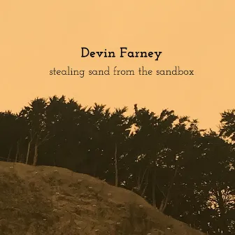 Stealing Sand from the Sandbox by Devin Farney