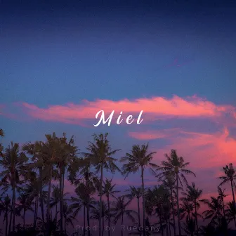 Miel (Hip-Hop Chill Beat) by Ruedany