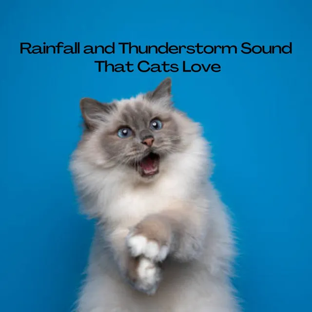 Sound of the Rainfall and Thunderstorm for Cats