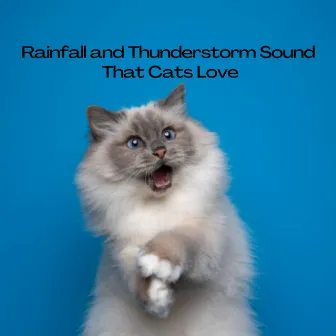 Rainfall and Thunderstorm Sound that Cats Love by Berlin Rain