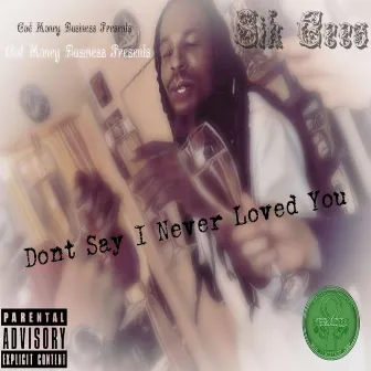 dont say i never loved you by sik geez