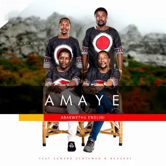 Abakwethu Endlini by Amaye