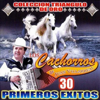 30 Primeros Exitos by Los Cachorros de Juan Villarreal