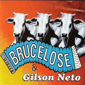 Brucelose & Gilson Neto by Forró da Brucelose & Gilson Neto