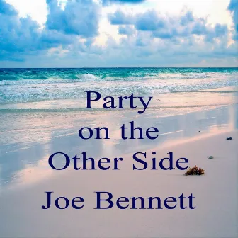 Party On the Other Side by Joe Bennett