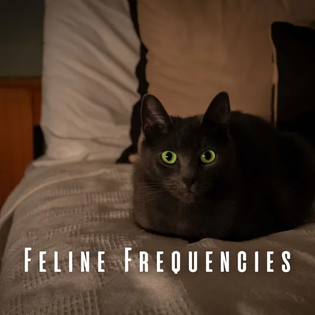 Feline Frequencies: Binaural Music for Cat Lovers