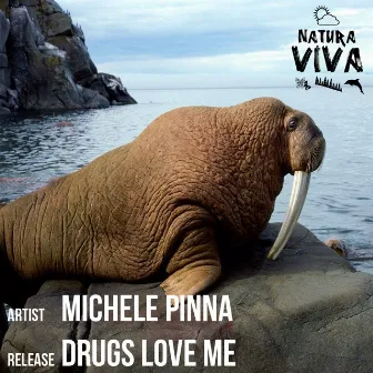 Drugs Love Me by Michele Pinna