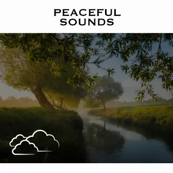 Peaceful Sounds by River Noise