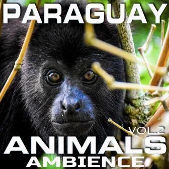 Paraguay Animals Ambience, Vol. 2 by Animal Planet FX