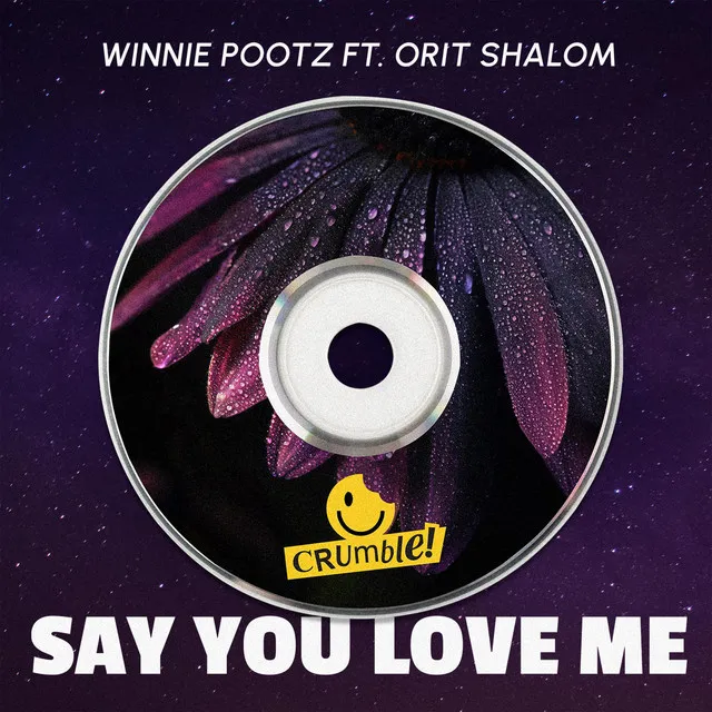 Say You Love Me - Radio Edit