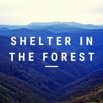 Shelter in the Forest by Jox Talay