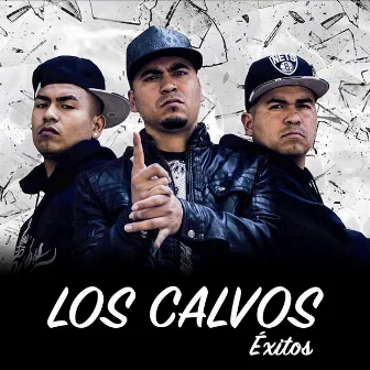 Éxitos by Los Calvos