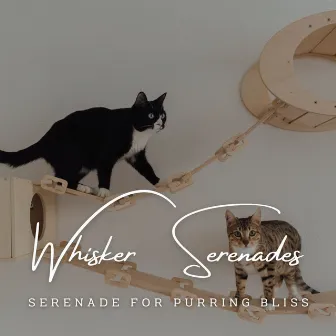 Piano Whisker Serenades: Harmonic Cat Melodies by Carol Cats