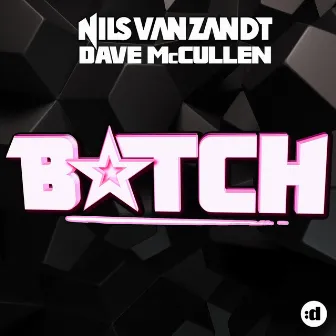 Bitch (Radio Edit) by Dave McCullen