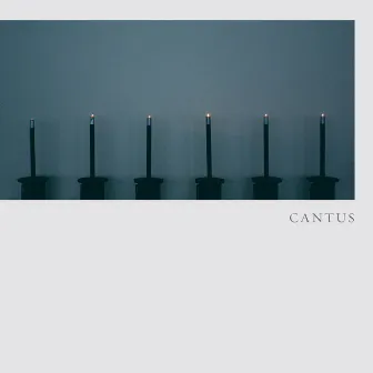 Hodie by CANTUS