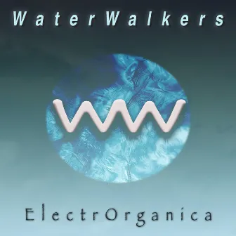 ElectrOrganica by WaterWalkers