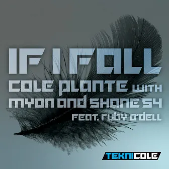 If I Fall by Cole Plante