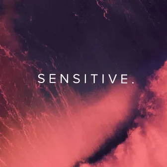 S E N S I T I V E . by S4EED