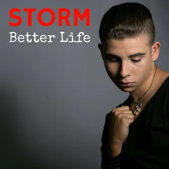 Better Life by Storm