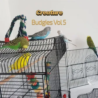 Budgies, Vol. 5 by Creature