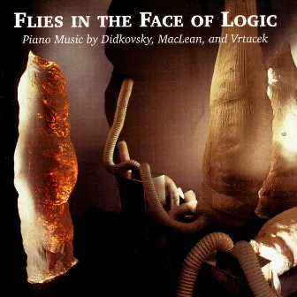 Flies In The Face of Logic by Nick Didkovsky