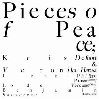 Pieces of Peace by Kris Defoort