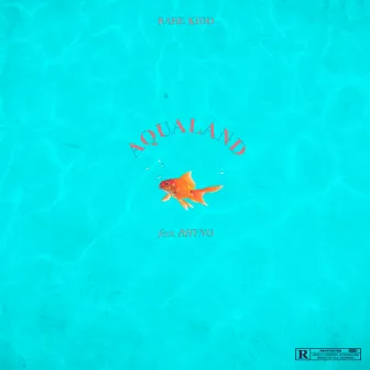 Aqualand by Rare Kidd