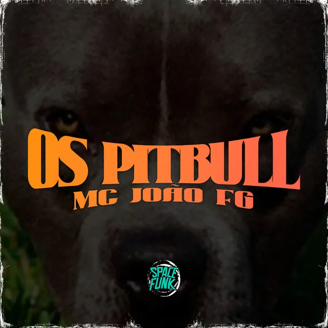 Os Pitbull